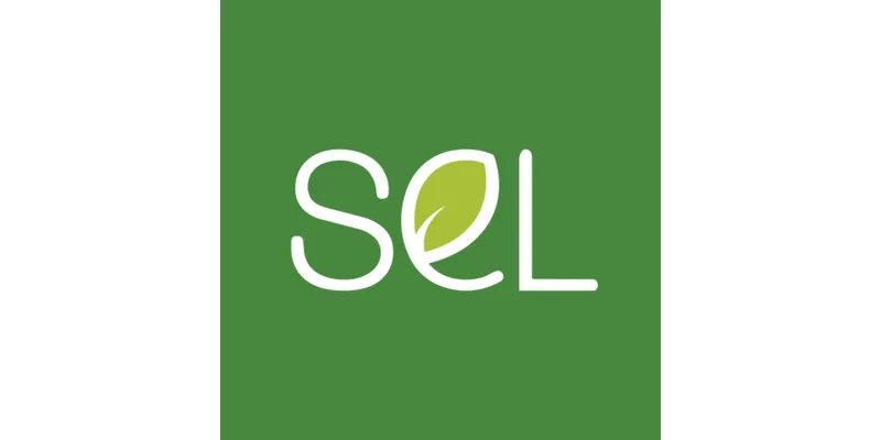 “Analysing the Financial Report of SEL Manufacturing Company Ltd”